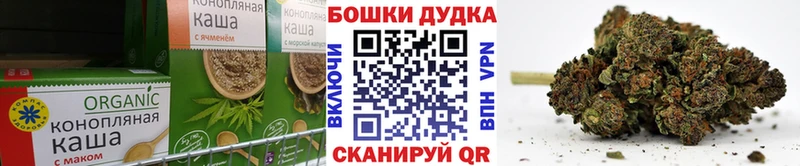 Canna-Cookies конопля Кедровый