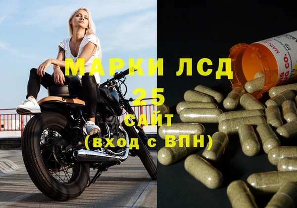 СК Беломорск