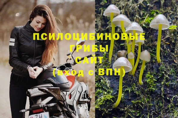 прущие крисы Аркадак