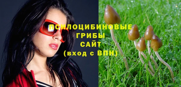 стаф Балабаново
