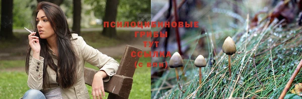 стаф Балабаново