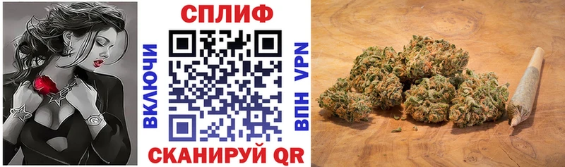 МАРИХУАНА Amnesia Кедровый